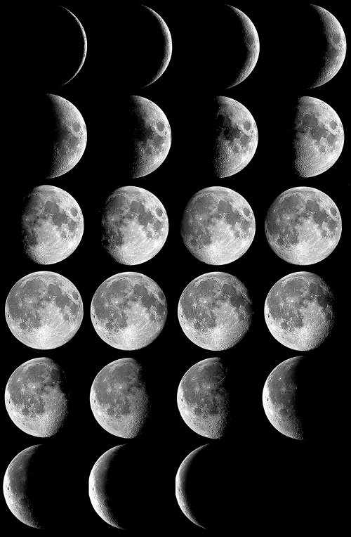 moon phases in order. Moon Phases.